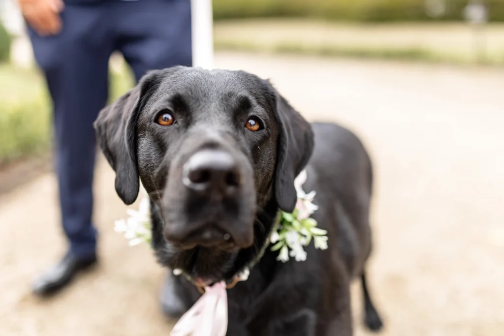 Hochzeitsfotograf-Saarland-Losheim 17